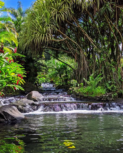 Tabacon Hot Springs