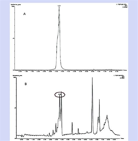 Total Ion Chromatogram Obtained For A Standard Berberine And B