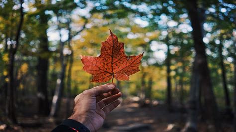 How Did Canada Get its Name? | Canada International Student Magazine