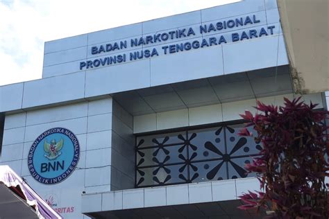 Semester I BNNP NTB Ungkap 10 Kasus Dan Bekuk 16 Tersangka Kasus