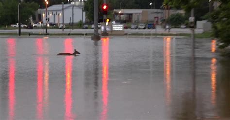 Flooding Across Mid Missouri Friday Morning News