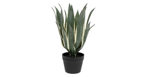 Plante Artificielle Agave Exotic Panama Cm Vert