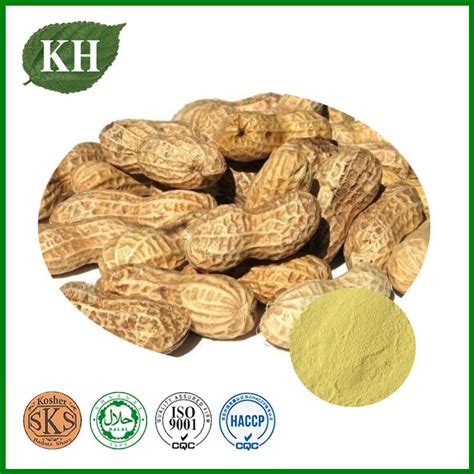 Natural Peanut Shell Extract Powder Luteolin Luteolin Peanut Powder