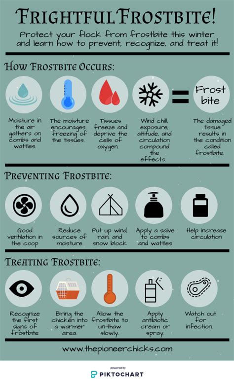 Frightful Frostbite- preventing, recognizing, and treating - The ...