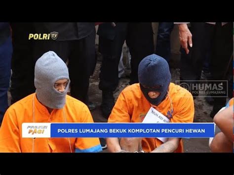 POLRES LUMAJANG BEKUK KOMPLOTAN PENCURIAN HEWAN YouTube