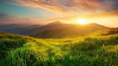 How to Ground; Heal the Earth and Yourself Gaia