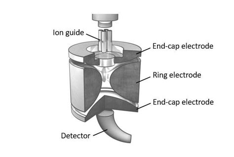 Quadrupole Ion Trap Qit Mass Spectrometry Condiments Food