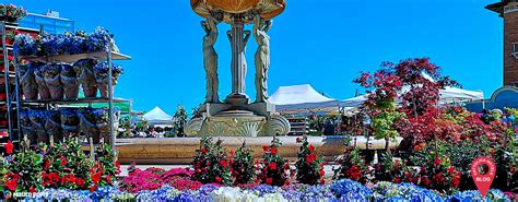 Cattolica in fiore | Mostra mercato per le vie del centro.