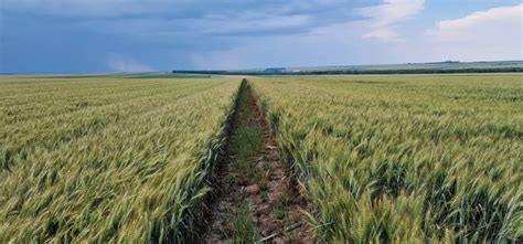 AgroPP - soluții ce vin în ajutorul agriculturii
