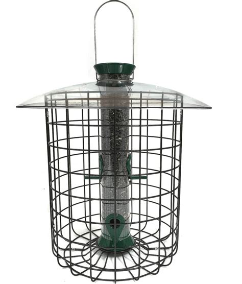 The Best Squirrel Proof Bird Feeders and 12 Tips That Work