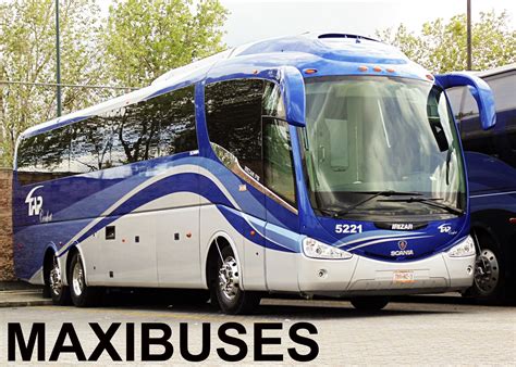 Maxibuses Transportes Y Autobuses Del Pac Fico Confort Tap Confort