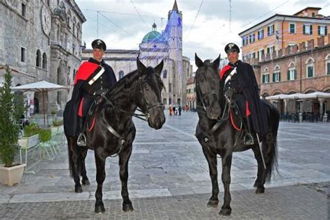 Carabinieri Ascoli Pattuglie A Cavallo Per Le Festivit Di Natale