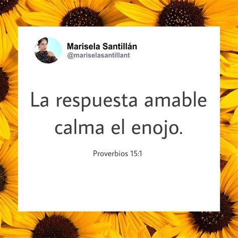 Frases Calm Proverbs