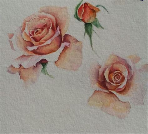 Pin By Kay Waldron On Painting Rose Pink Rose Painting Flower