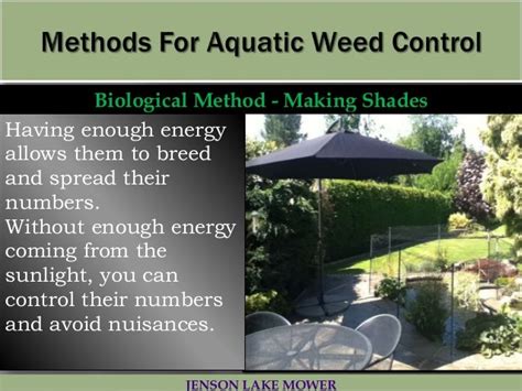 The best aquatic weed control methods