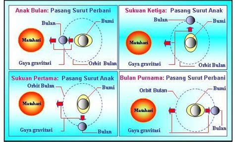 Pasang Purnama Dan Pasang Perbani