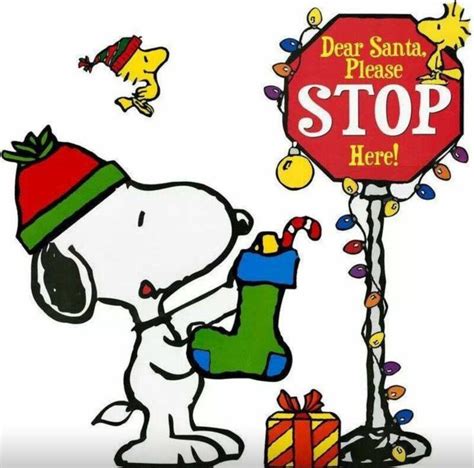 Snoopy Woodstock Christmas Snoopy Christmas Snoopy Snoopy Love