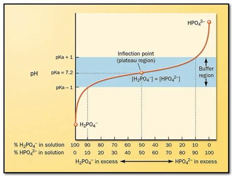 What Are The Basics Of Ph Do You Know The Importance