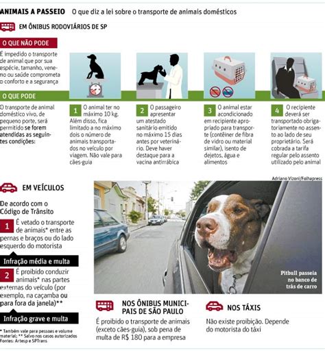 Centro de Adoção Regras para transportar animais