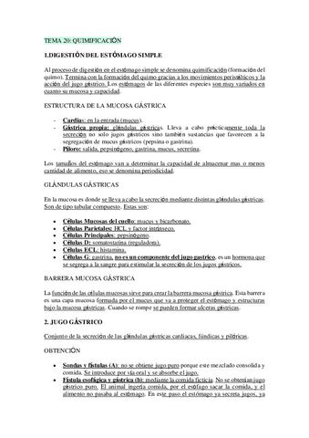 Tema 20 Fisio Pdf