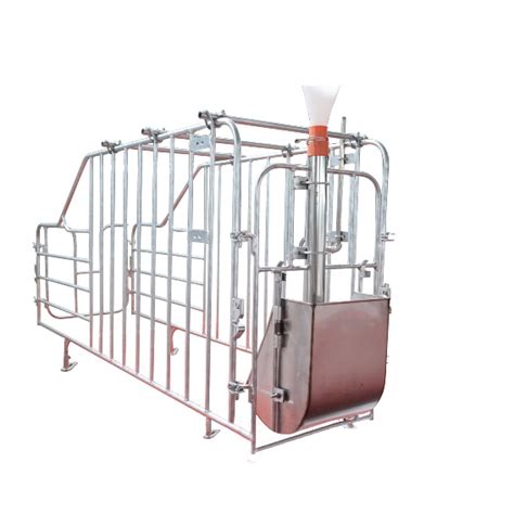 Juxin Hot Selling Galvanized For Sow Gestation Crate Stall Or Gestation