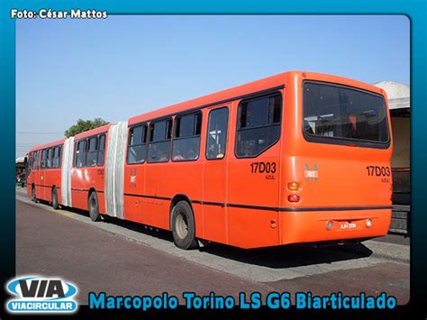 Marcopolo Torino Viacircular Nibus