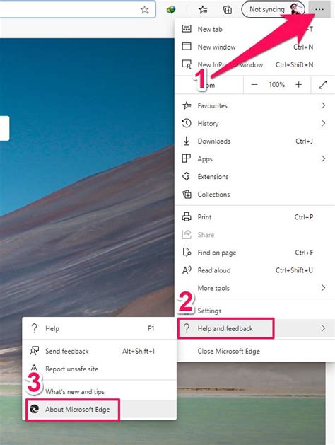 menampilkan versi browser  komputer