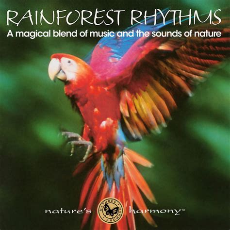 Rainforest Rhythms A Magical Blend Of Music And The Sounds Of Nature