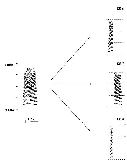 Spectrograms Of Four Signals Used In Our Experiments The Signal On The Download Scientific