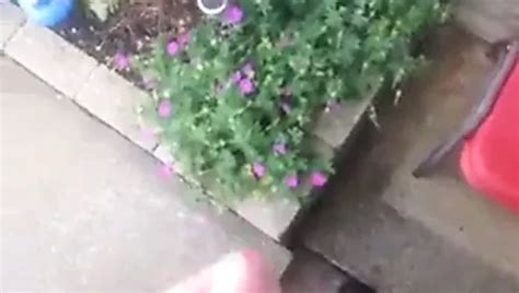 Free Outdoor Wank Gay Porn Videos 39 XHamster