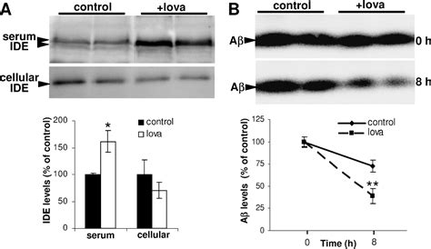 Figure 3 From Statins Promote The Degradation Of Extracellular Amyloid