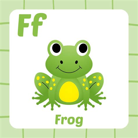 flashcard  kids frog vector  vector art  vecteezy