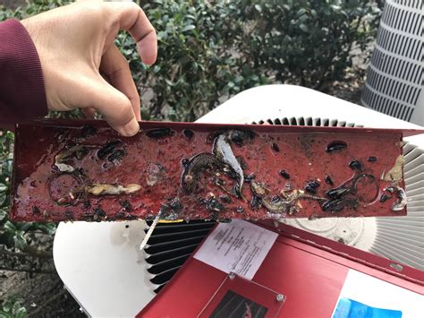 I hate apartments : r/firealarms