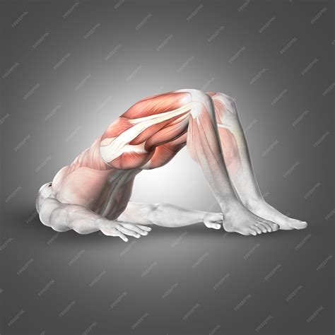 Free Photo | Man raising his pelvis from the ground