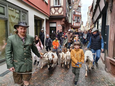 Wertheimer Ostermarkt Am Und M Rz Unterhaltung Kulinarik