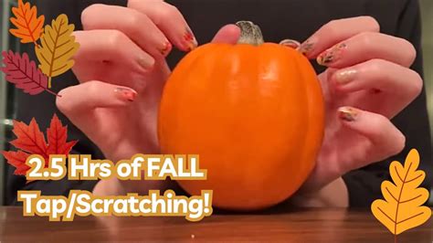 Asmr Hrs Of Fall Tapping Scratching Whispering Soft