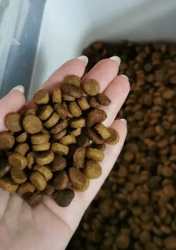 Корм для кошек DeliCaDo Pets: отзывы, разбор состава, цена - ПетОбзор