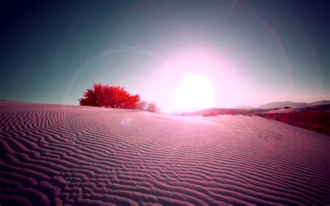 Desert Flare, HD Nature, 4k Wallpapers, Images, Backgrounds, Photos and ...