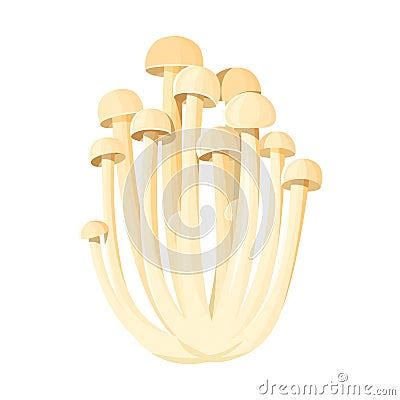 Cluster Of Enoki Mushrooms Cartoon Vector Cartoondealer