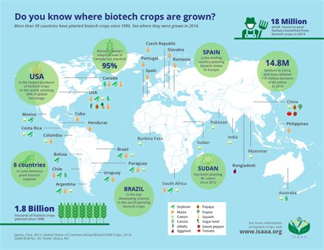 크롭라이프코리아 Croplife Korea 인포그래픽 생명공학 작물이 재배되고 있는 곳은