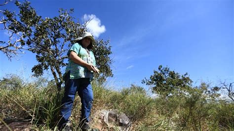 S Tio Arqueol Gico Descoberto No Df Tem Ferramentas De Ca A Milenares