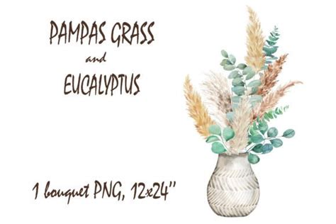 Boho Pampas Grass Vase Clipart Png Graphic By Twatercolor · Creative Fabrica