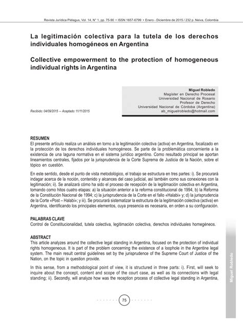 Pdf La Legitimación Colectiva Para La Tutela De Los Derechos