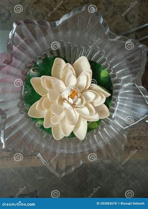 Flower Lotus. National Flower of India Stock Photo - Image of signifies ...