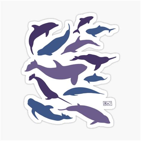 "Odontocetes!" Sticker by jenrichards | Redbubble