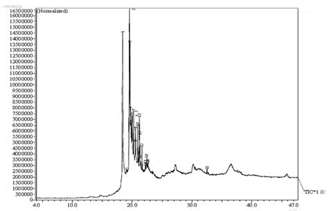 Chromatogram Of Gc Ms Analysis With Pure N Hexane Fraction Of Pg Leaves