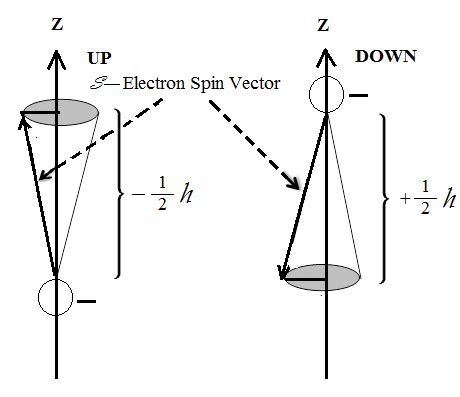 Vectorial representations of an electron's spin magnetic moment, an UP ...