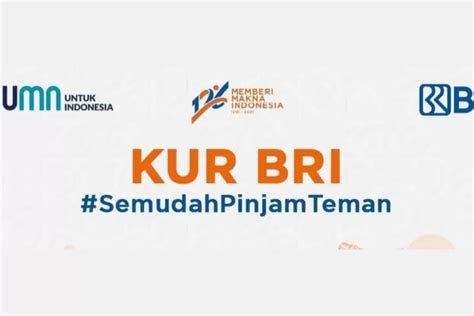 Mau Pinjam Kur Bri Tanpa Jaminan Untuk Usaha Ini Persyaratan Dan