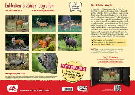 Eule Fuchs Und Hirsch Tiere Im Wald Entdecken Erz Hlen Begreifen