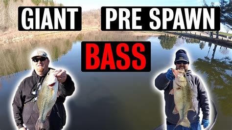 Catching Giant Pre Spawn Bass 2020 Wisconsin Bass Opener Youtube